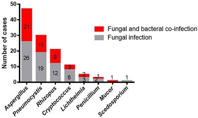 Prevalence of Fungal and Bacterial Co-Infection in Pulmonary Fungal Infections: A Metagenomic Next Generation Sequencing-Based Study